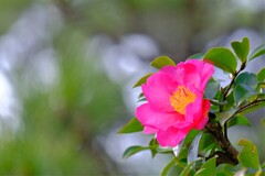 散歩の途中で。Ⅷ