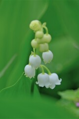 散歩の途中で。Ⅶ