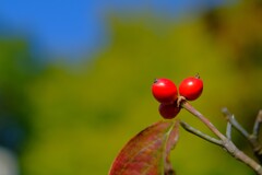 散歩の途中で。２