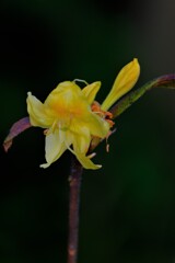 散歩の途中で。5