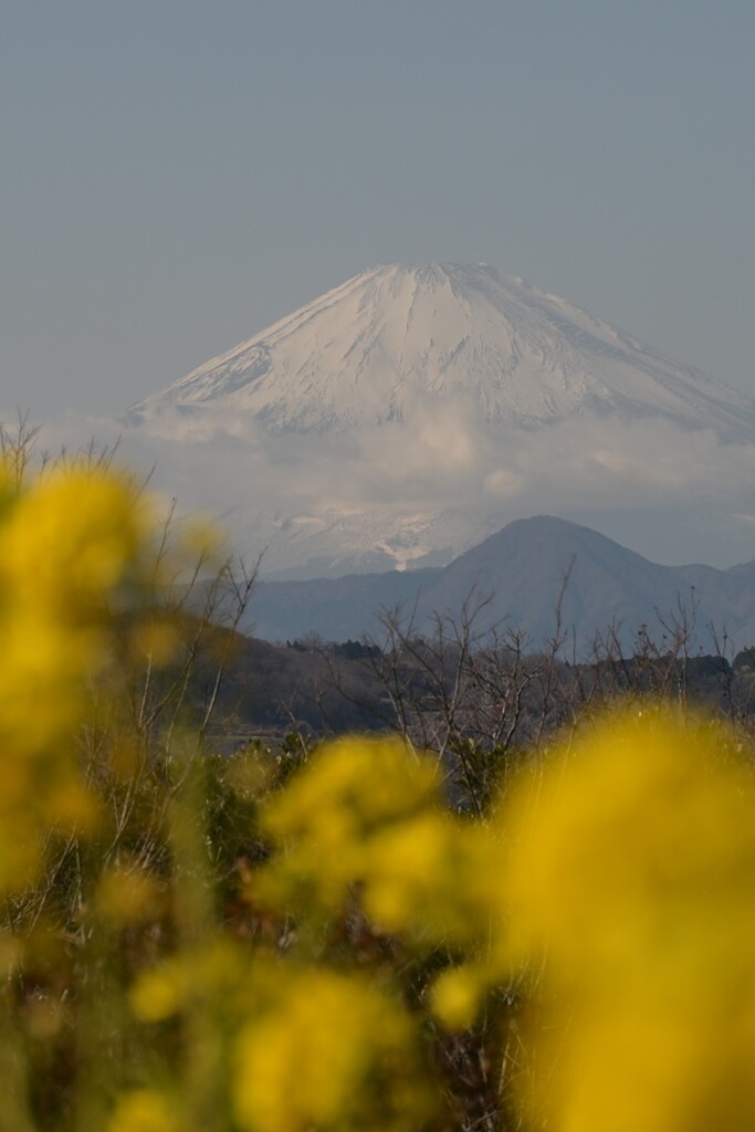 富士山