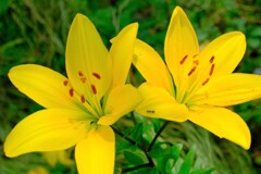 散歩の途中で。Ⅲ