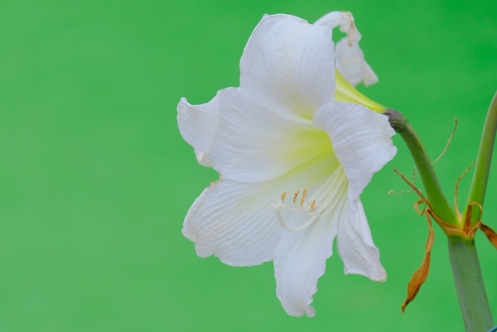 散歩の途中で。