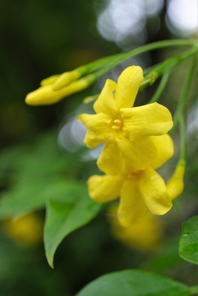 散歩の途中で。Ⅲ