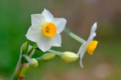 散歩の途中で。Ⅲ