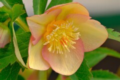 散歩の途中で。4