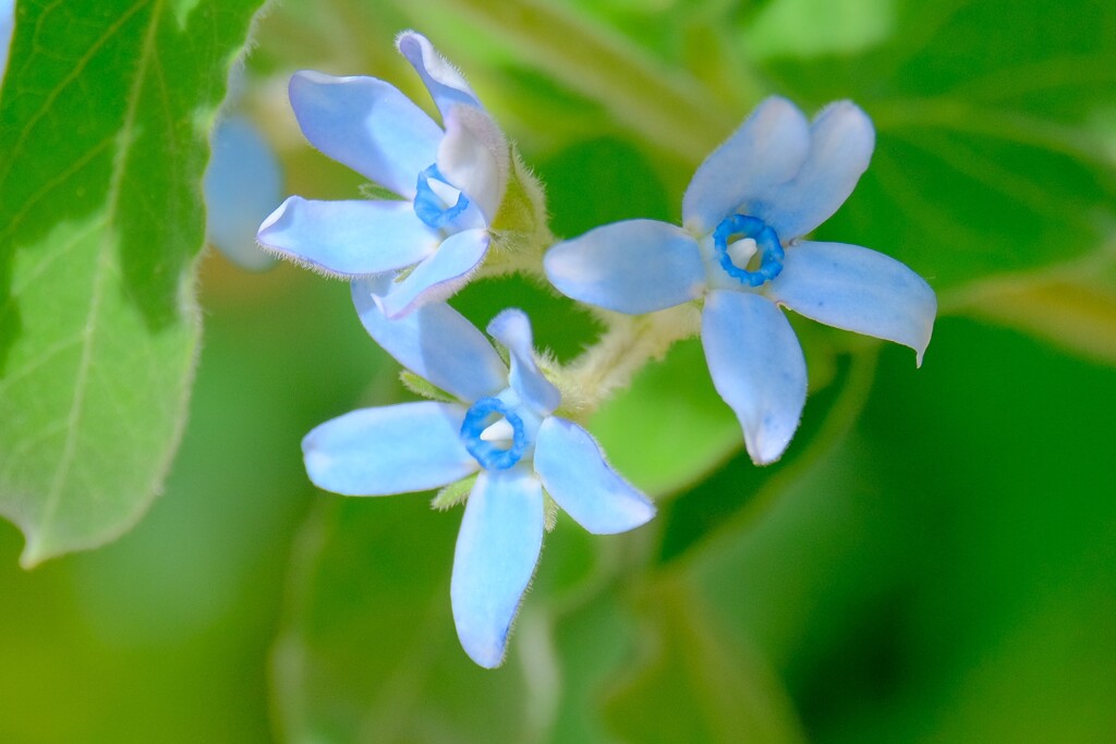 (8)散歩の途中で。3