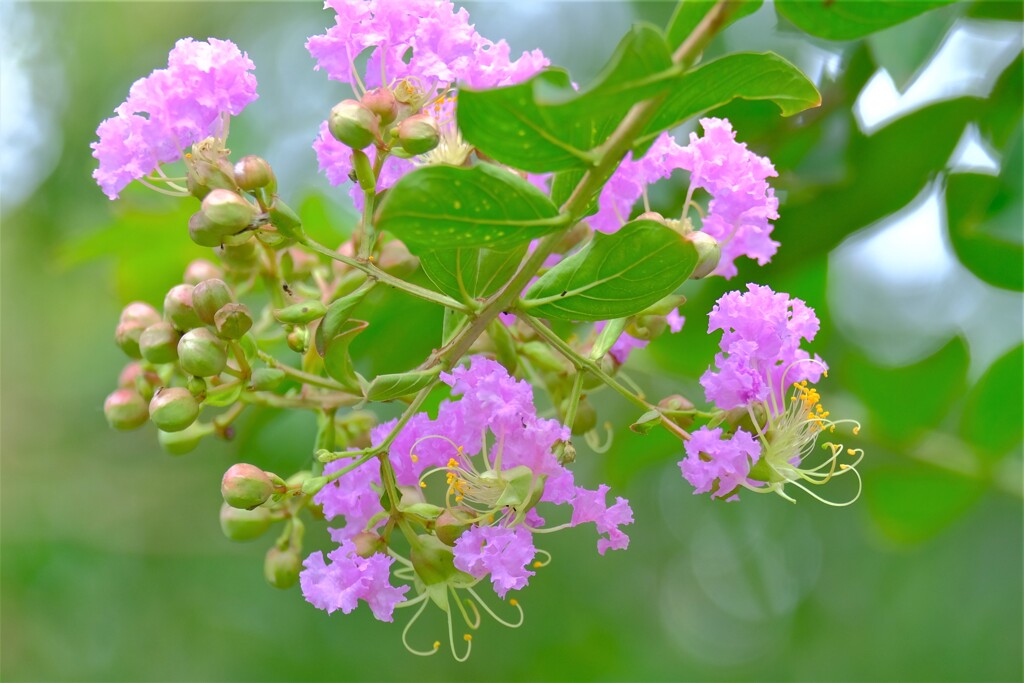 散歩の途中で。Ⅵ
