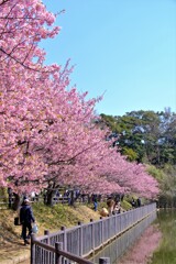 散歩の途中で。③