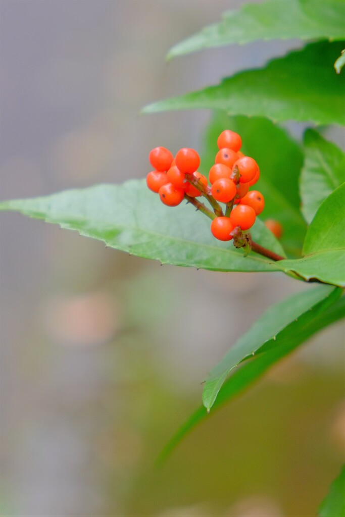 散歩の途中で。Ⅶ