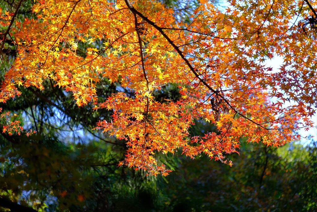 散歩の途中で、4