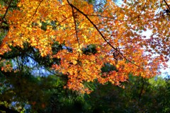 散歩の途中で、4