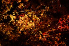 散歩の途中で。Ⅴ