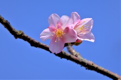 散歩の途中で。Ⅴ