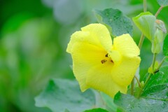 散歩の途中で。