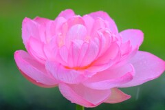 散歩の途中で。