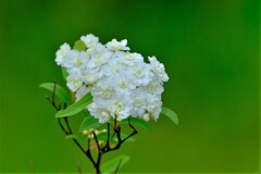 散歩の途中で。Ⅲ