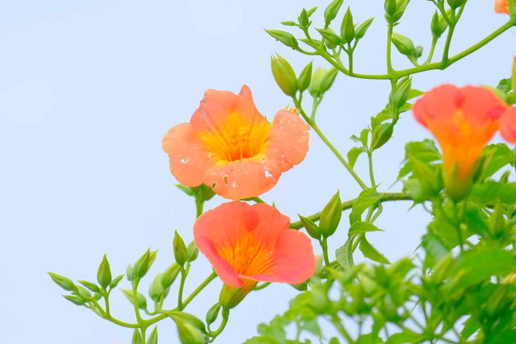 散歩の途中で。