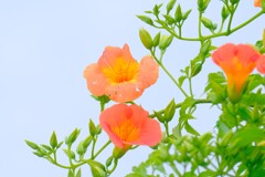 散歩の途中で。