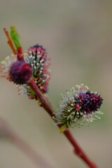 散歩の途中で。①