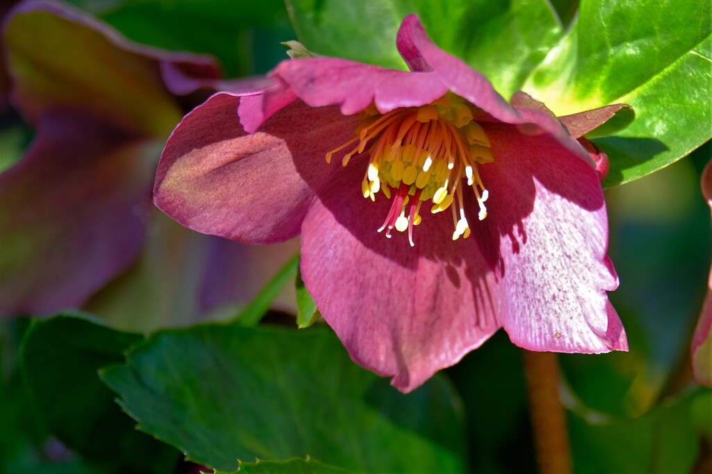 散歩の途中で。1