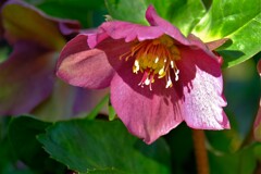 散歩の途中で。1