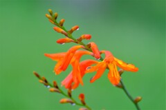 散歩の途中で。③