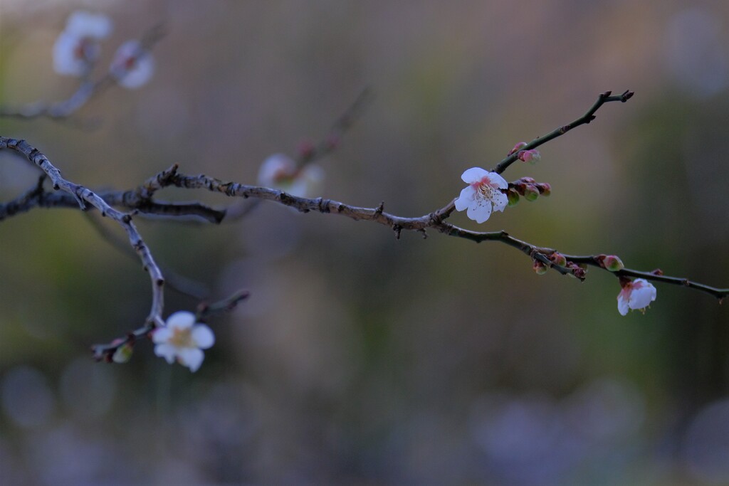 散歩の途中で。Ⅰ