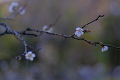 散歩の途中で。Ⅰ