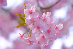 散歩の途中で。Ⅱ