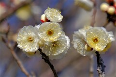 散歩の途中で。４