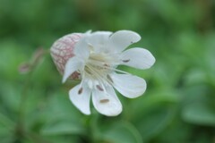 散歩の途中で。②