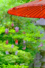 (6)散歩の途中で。10