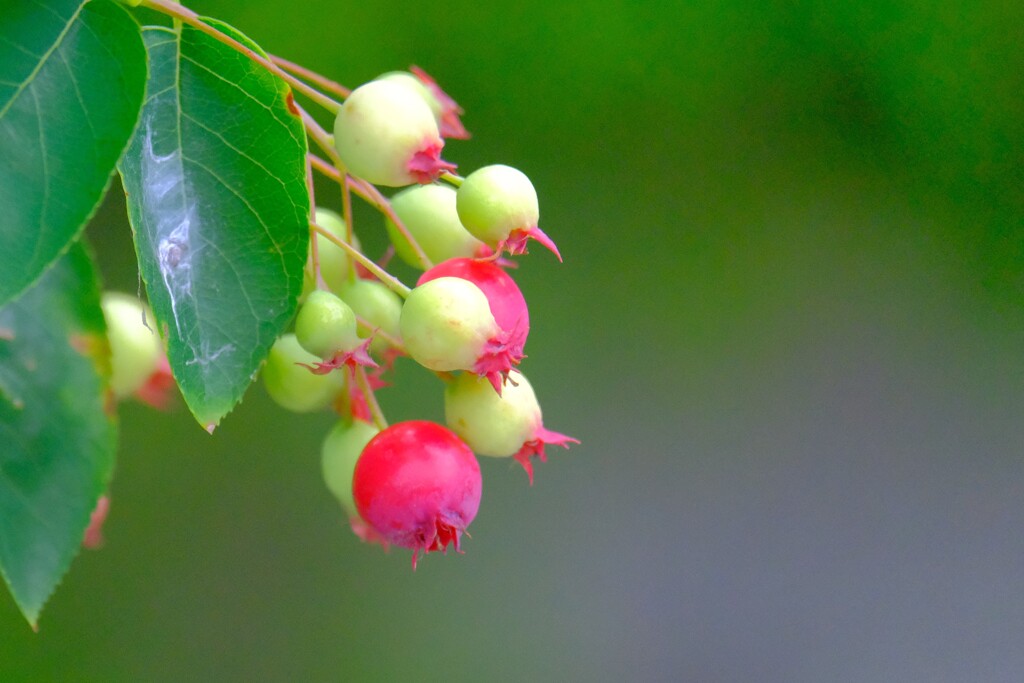 散歩の途中で。Ⅳ