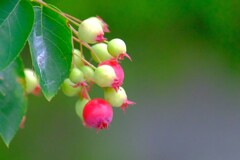 散歩の途中で。Ⅳ