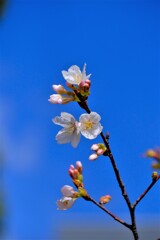 散歩の途中で。②