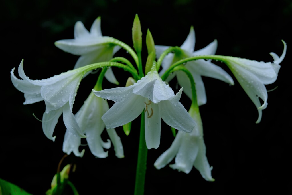 散歩の途中で。４