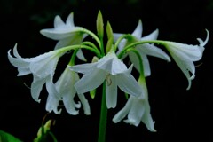 散歩の途中で。４