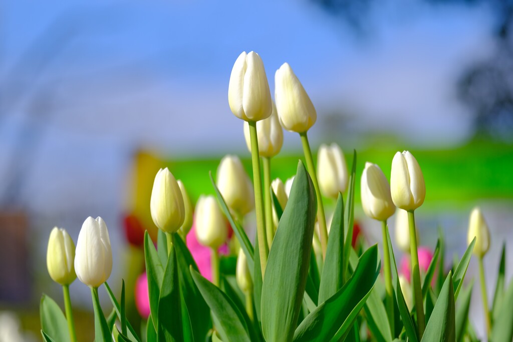 散歩の途中で。Ⅰ