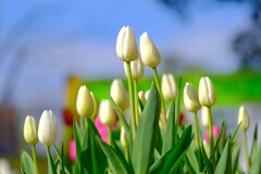 散歩の途中で。Ⅰ