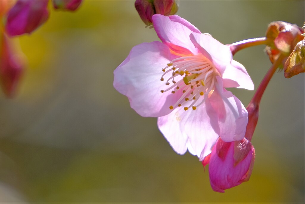 散歩の途中で。２