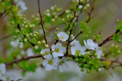 散歩の途中で。3