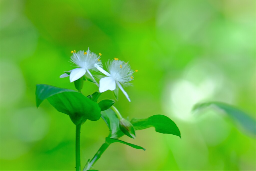 散歩の途中で。（２）