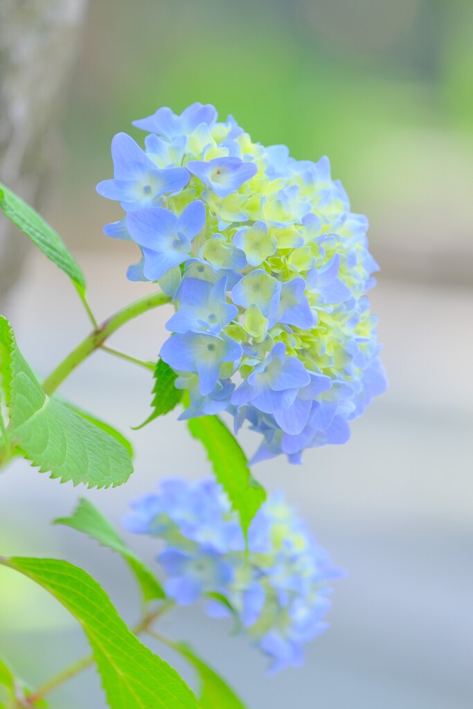 (4)散歩の途中で。4