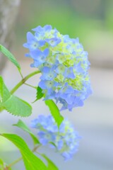 (4)散歩の途中で。4