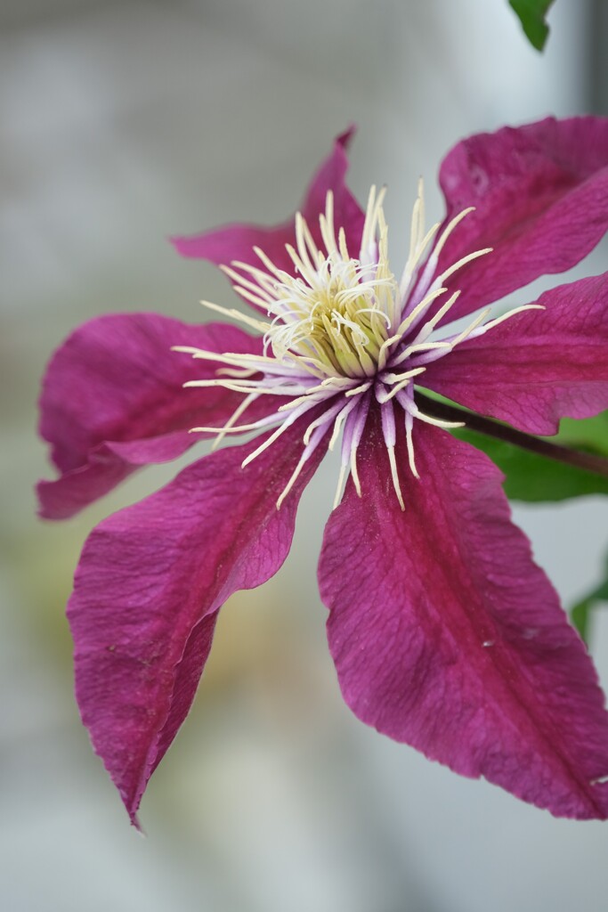 散歩の途中で。⑦