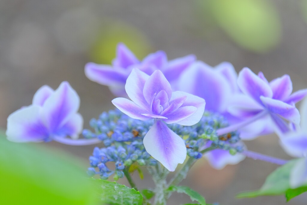 散歩の途中で。