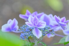 散歩の途中で。