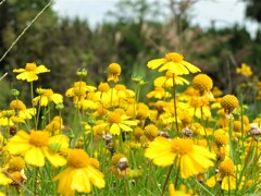 散歩の途中で。④