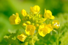 散歩の途中で。Ⅱ